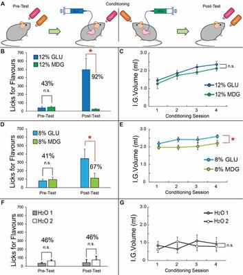 Sugar Metabolism Regulates Flavor Preferences and Portal Glucose Sensing